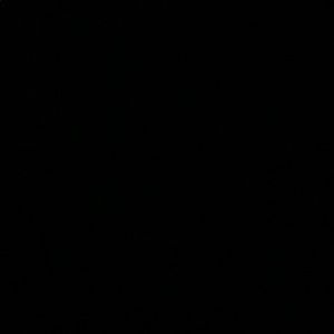 Meet your Posher, Zoe